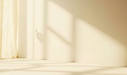 Peinture Sikkens avec brosse et palette