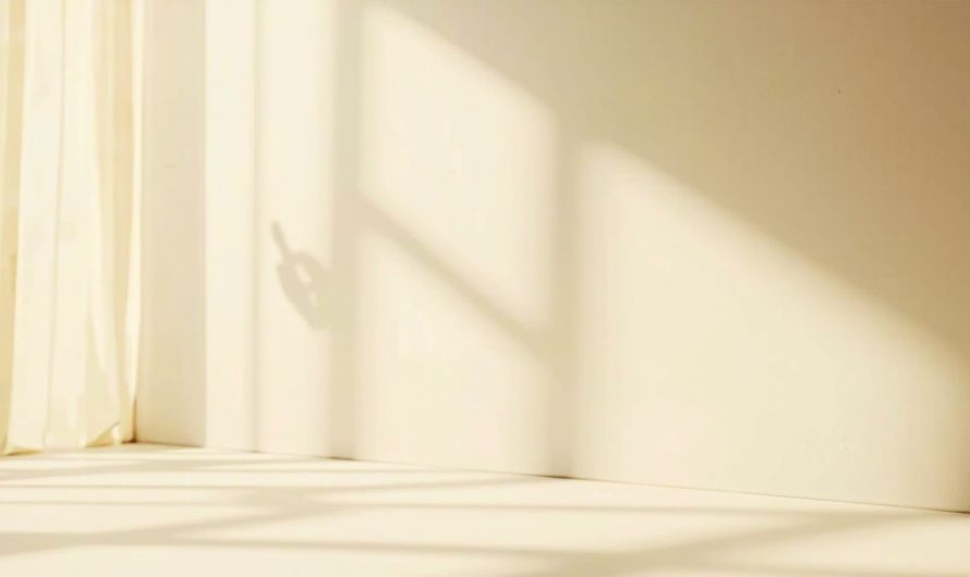 Peinture Sikkens : avis, application et conseils sur la marque