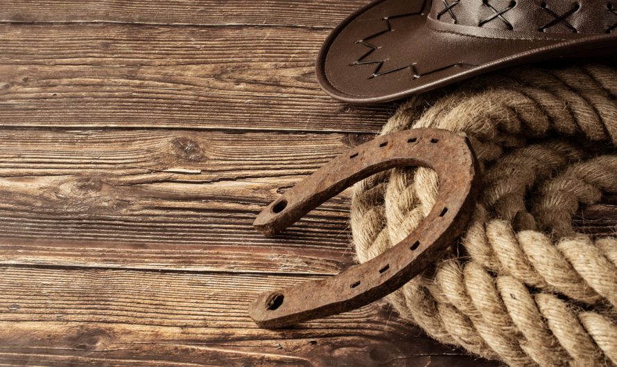 Pourquoi l’univers western reste une tendance forte ?