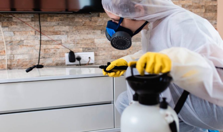 La gestion parasitaire résidentielle : une expertise au service de votre tranquillité